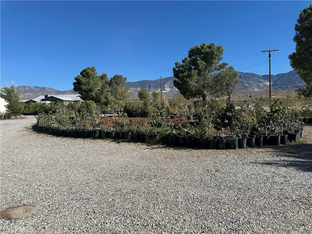 9181 Visalia Lucerne Valley, CA 92356