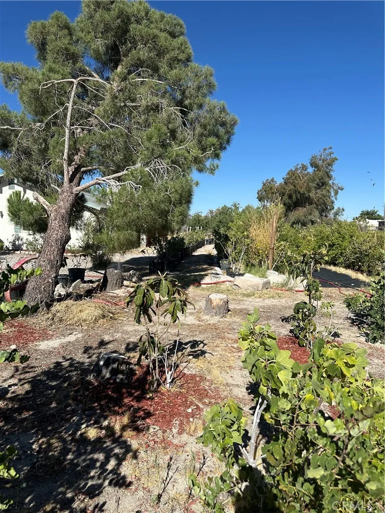 9181 Visalia Lucerne Valley, CA 92356