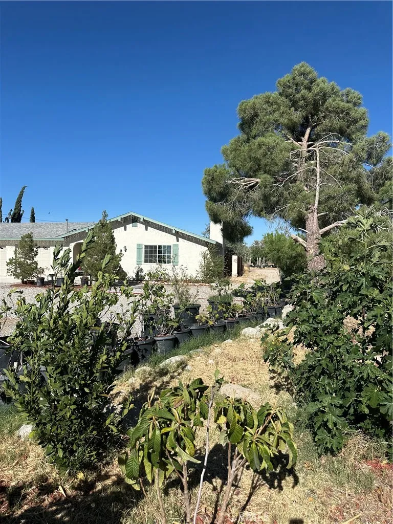 9181 Visalia Lucerne Valley, CA 92356