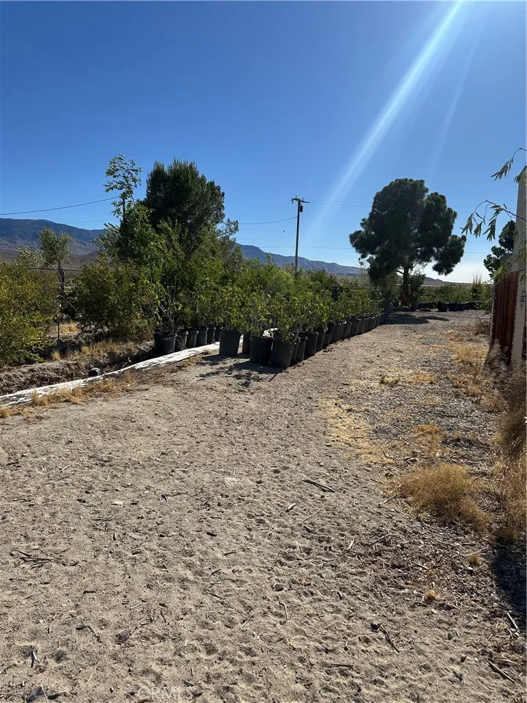9181 Visalia Lucerne Valley, CA 92356