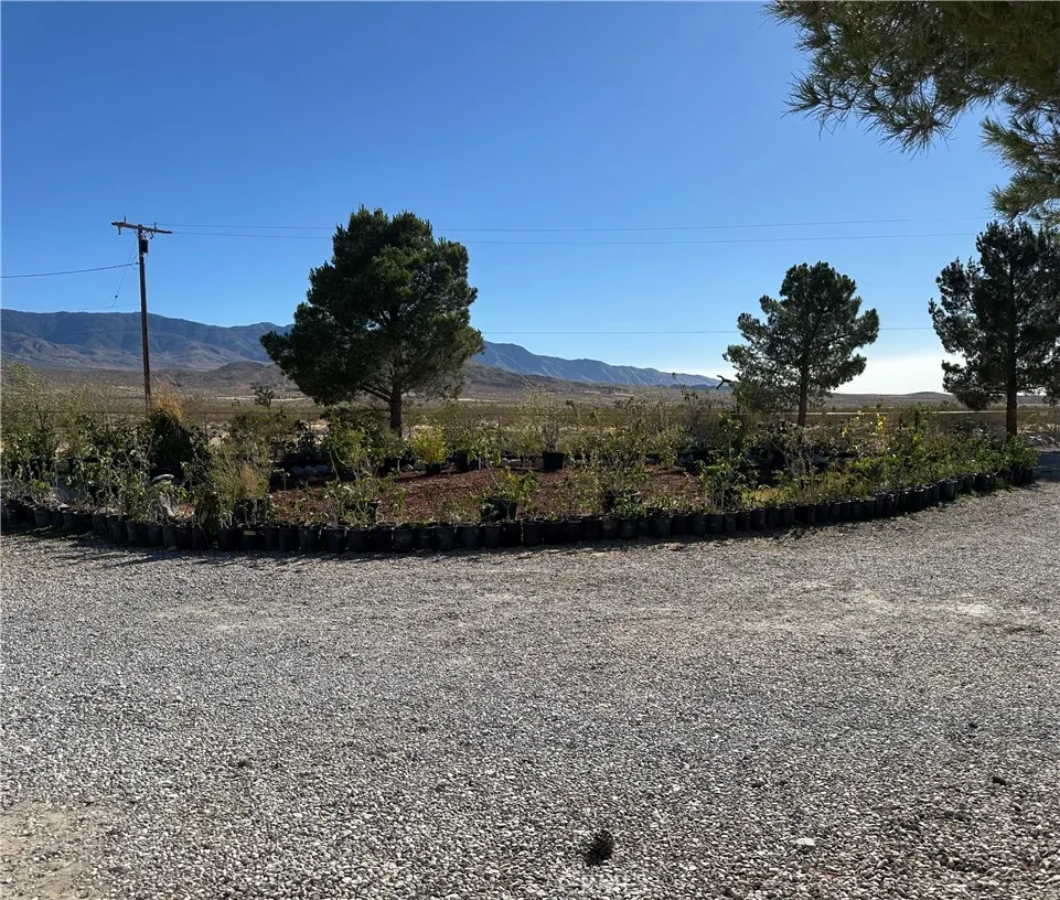 9181 Visalia Lucerne Valley, CA 92356