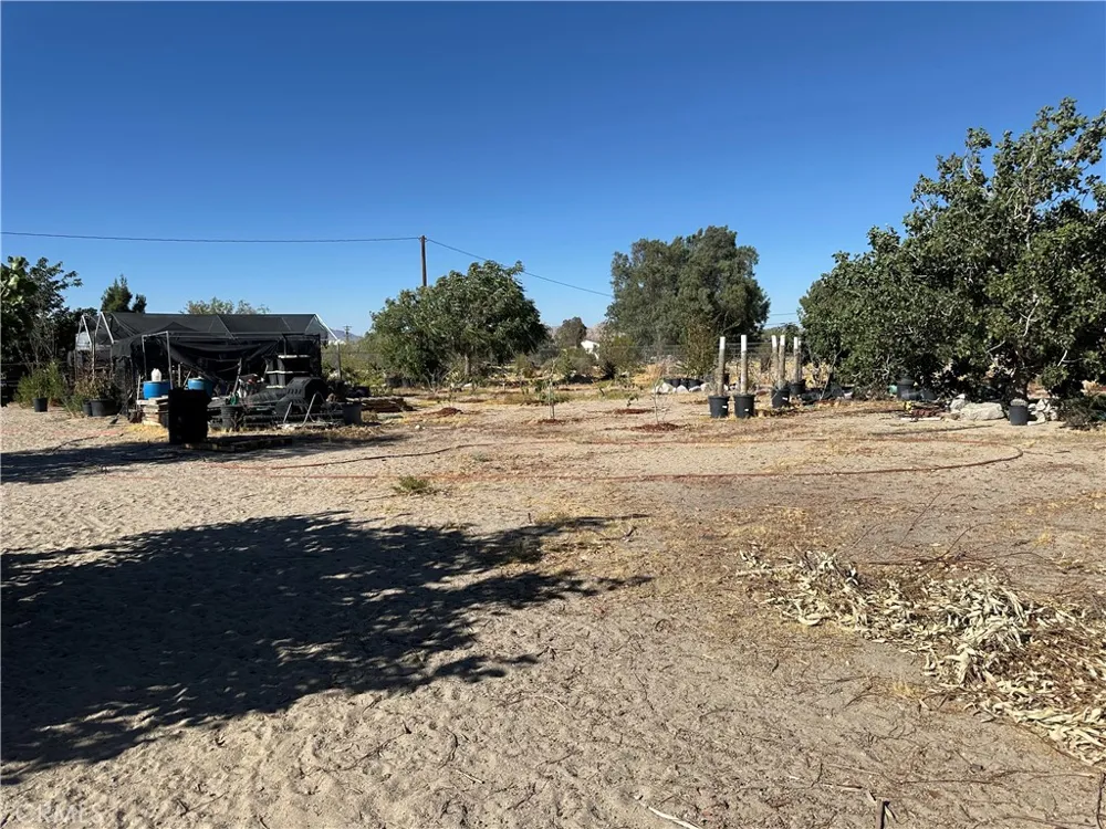 9181 Visalia Lucerne Valley, CA 92356