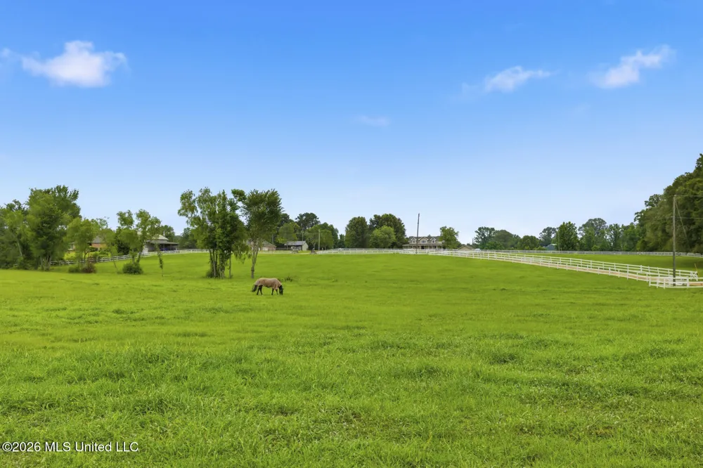 1735 Alana Drive Terry, MS 39170