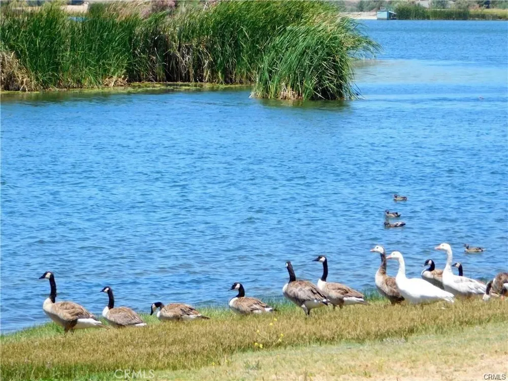41173 Rocky Valley Way Aguanga, CA 92536