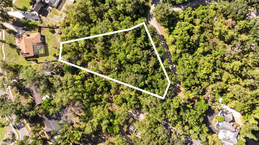 4706 RAMBLING RIVER ROAD Brandon, FL 33511