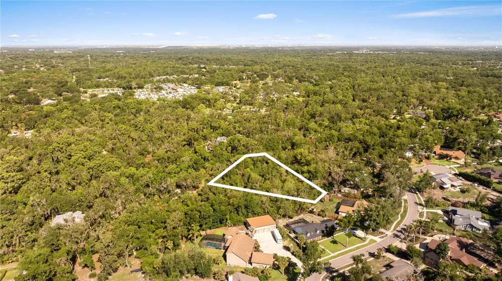 4706 RAMBLING RIVER ROAD Brandon, FL 33511