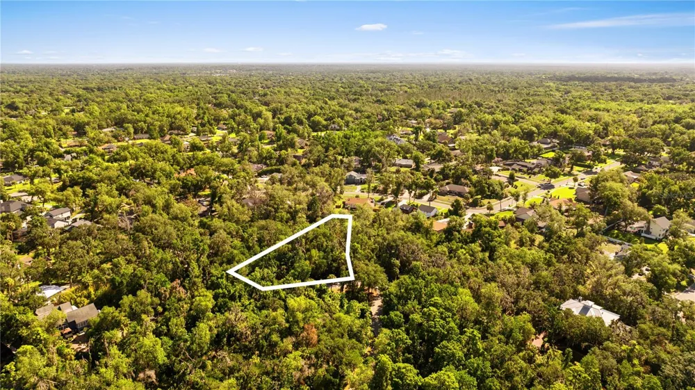 4706 RAMBLING RIVER ROAD Brandon, FL 33511