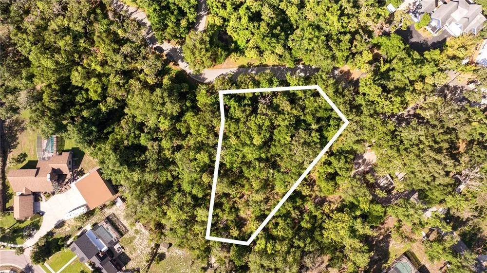4706 RAMBLING RIVER ROAD Brandon, FL 33511