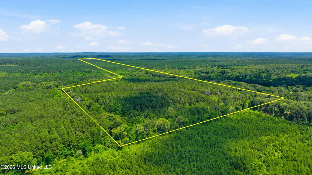 Blackwell Drive Forest, MS 39074