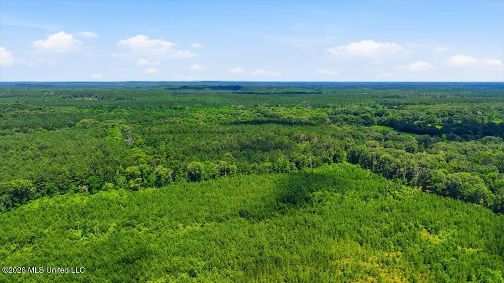 Blackwell Drive Forest, MS 39074