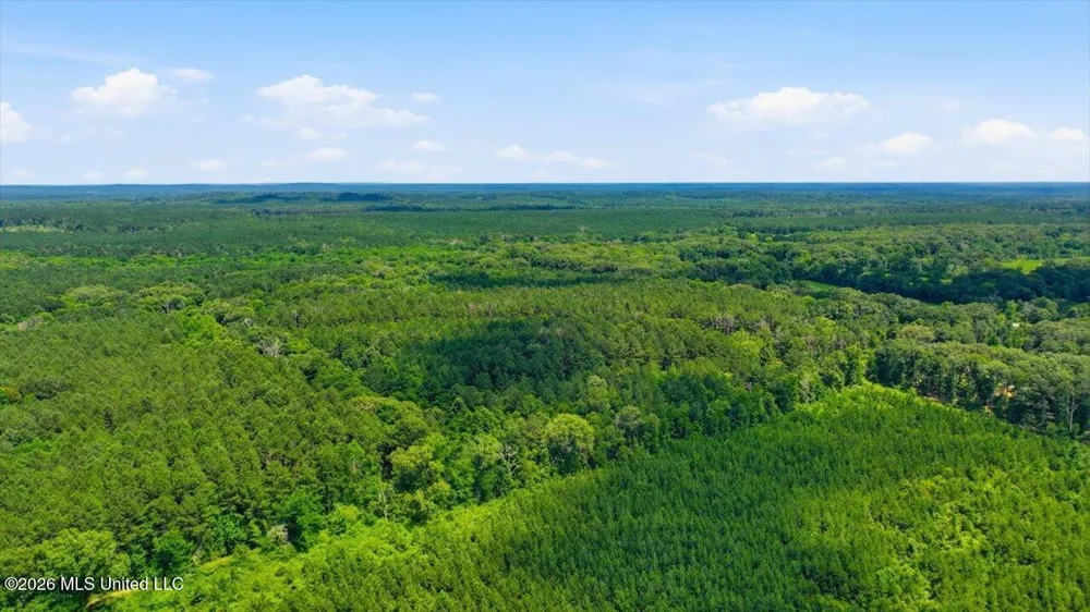 Blackwell Drive Forest, MS 39074