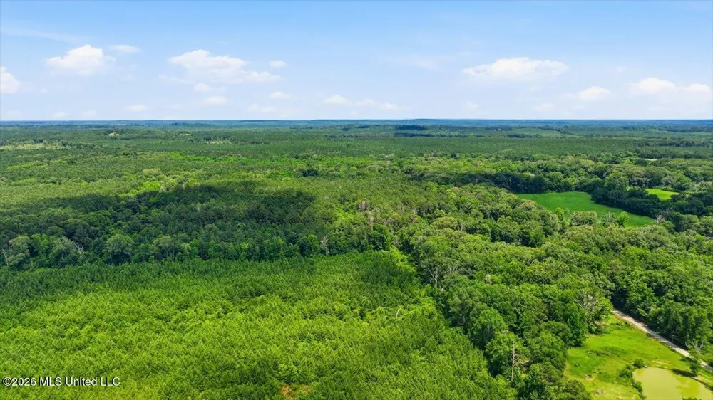 Blackwell Drive Forest, MS 39074