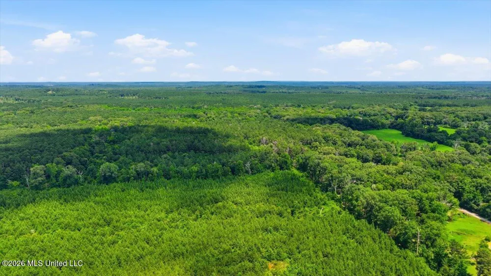 Blackwell Drive Forest, MS 39074