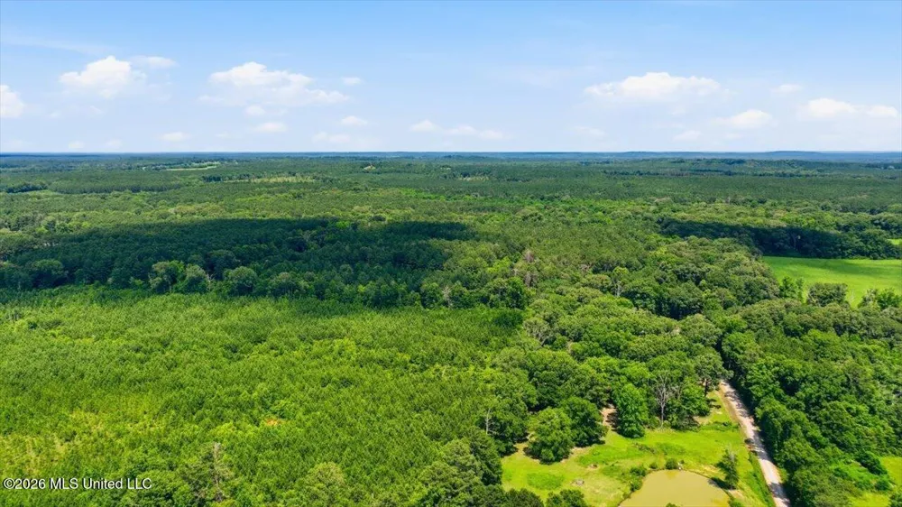 Blackwell Drive Forest, MS 39074
