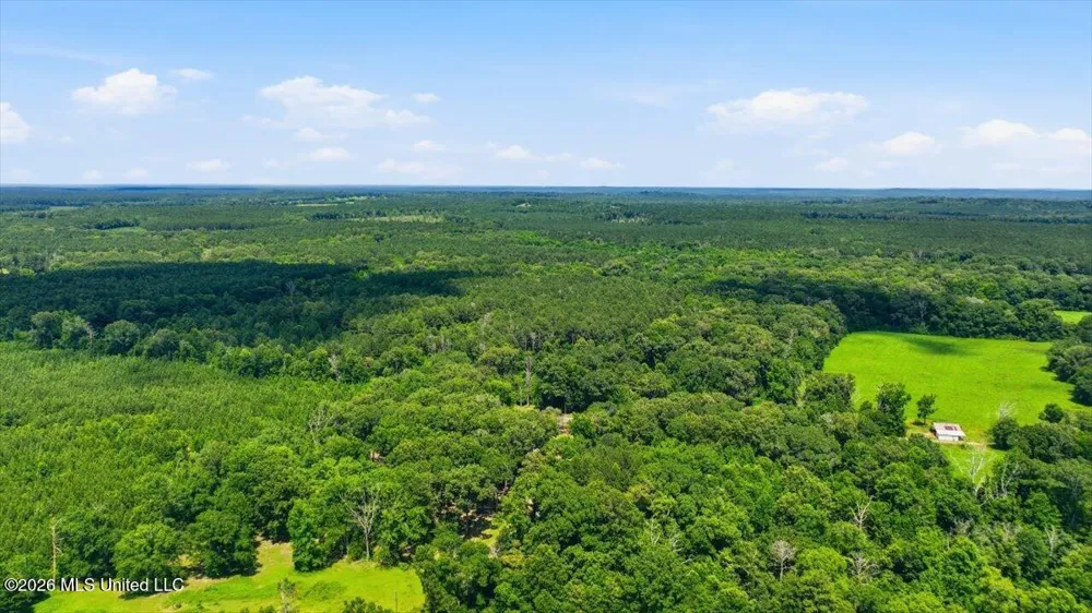 Blackwell Drive Forest, MS 39074