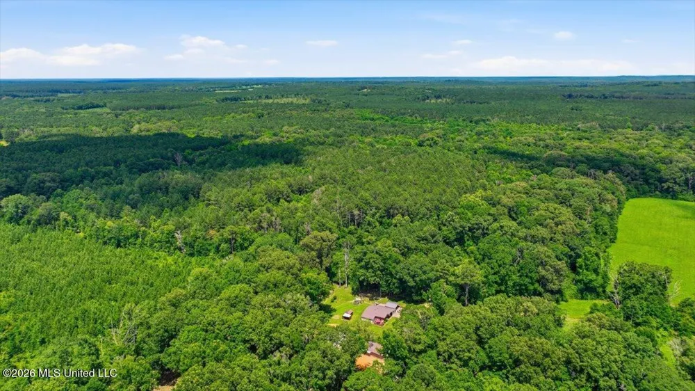 Blackwell Drive Forest, MS 39074