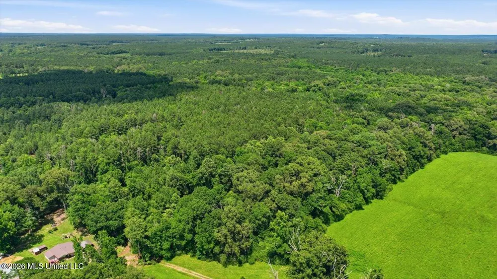 Blackwell Drive Forest, MS 39074