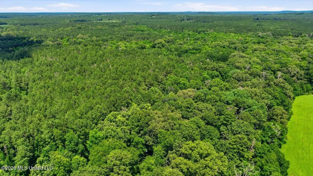 Blackwell Drive Forest, MS 39074