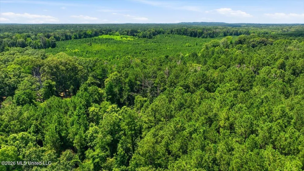 Blackwell Drive Forest, MS 39074