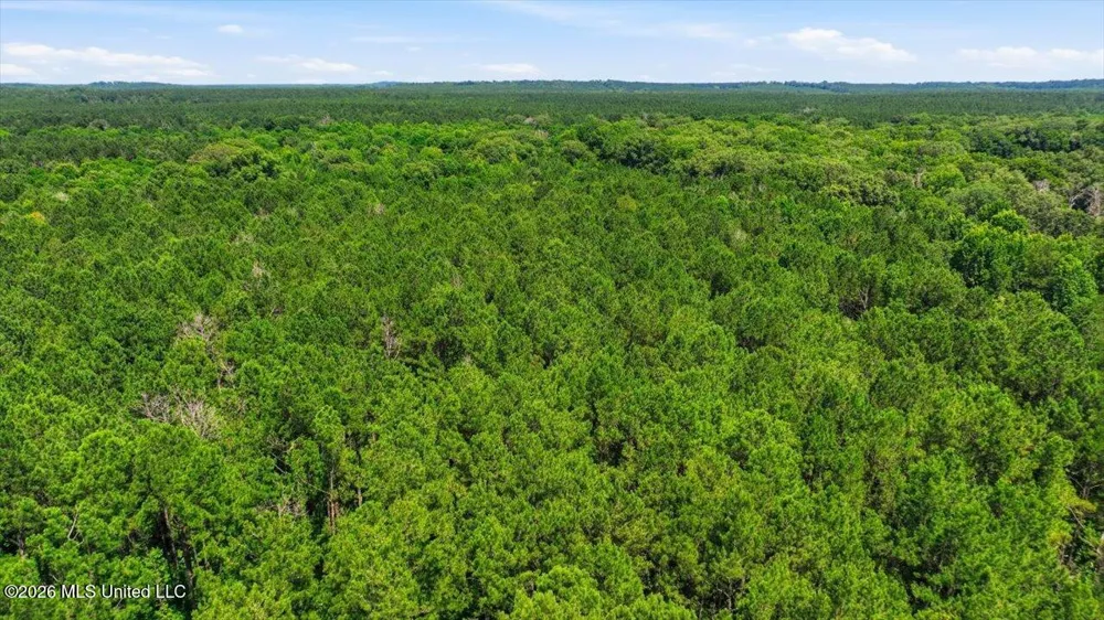 Blackwell Drive Forest, MS 39074