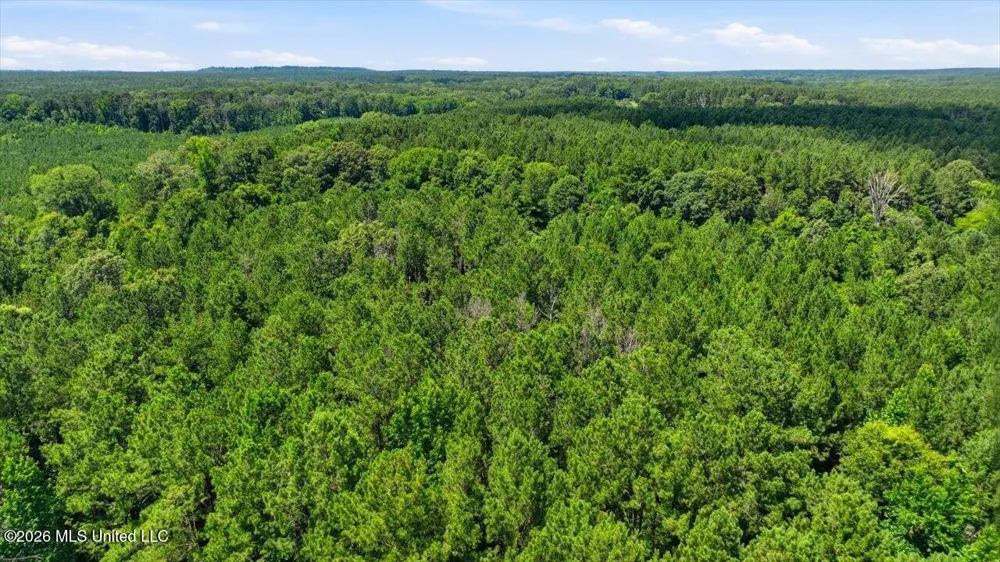 Blackwell Drive Forest, MS 39074