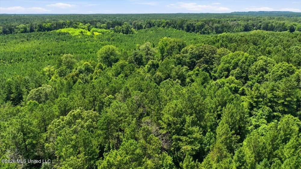 Blackwell Drive Forest, MS 39074