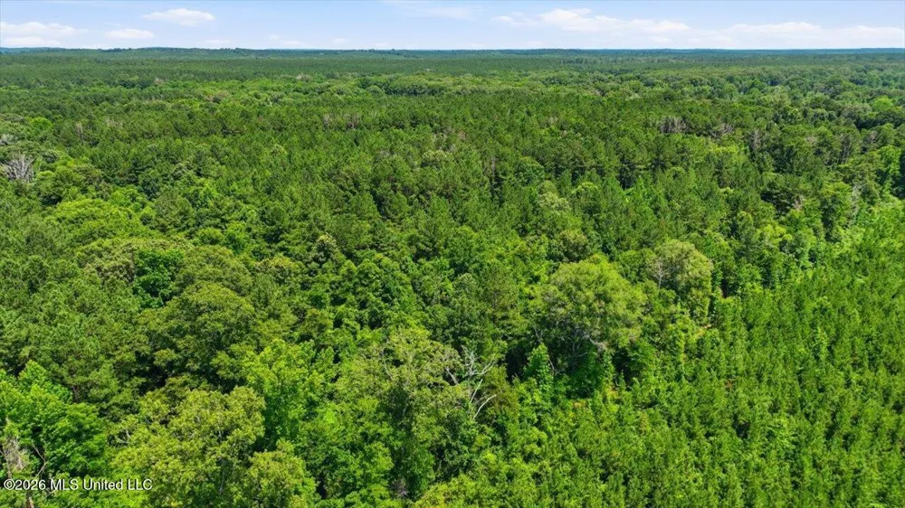 Blackwell Drive Forest, MS 39074