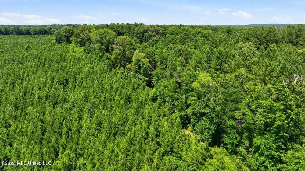 Blackwell Drive Forest, MS 39074
