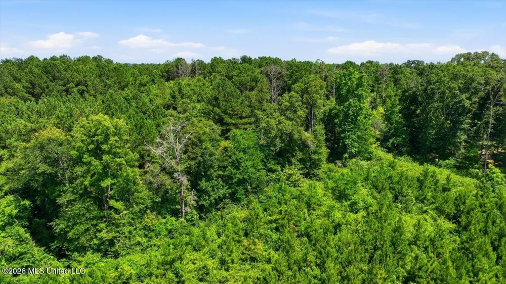 Blackwell Drive Forest, MS 39074