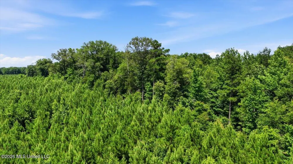 Blackwell Drive Forest, MS 39074