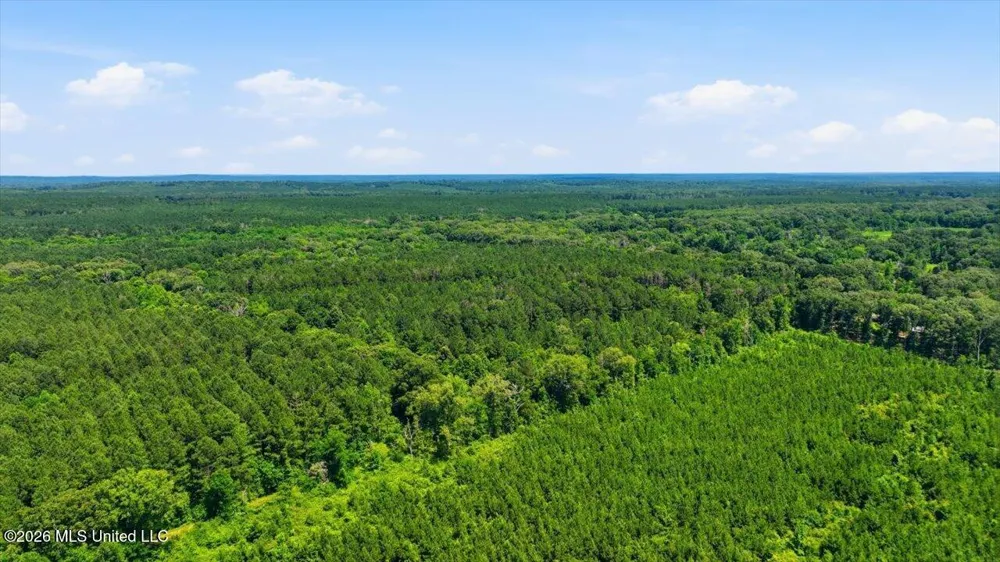 Blackwell Drive Forest, MS 39074