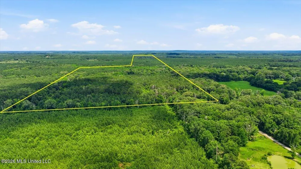 Blackwell Drive Forest, MS 39074