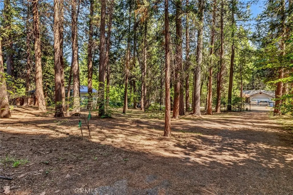6463 Hollywood Magalia, CA 95954