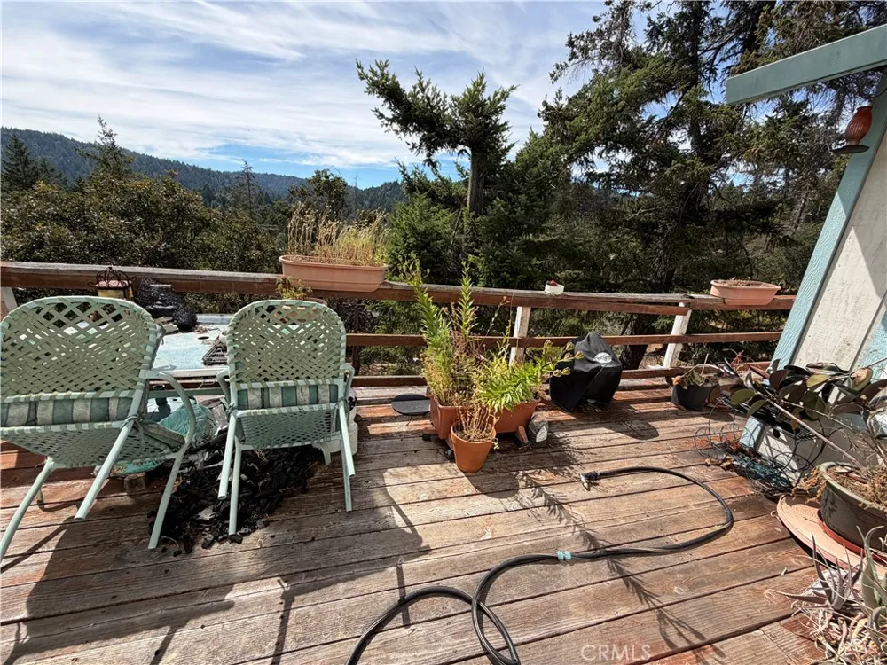 25958 Hawk Willits, CA 95490