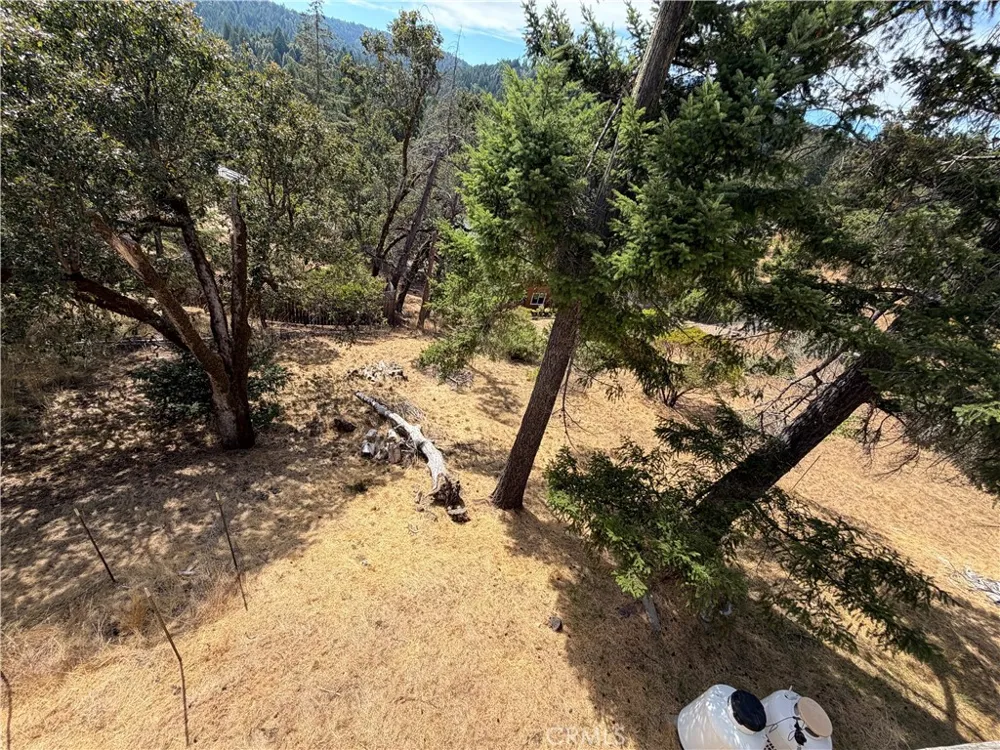 25958 Hawk Willits, CA 95490
