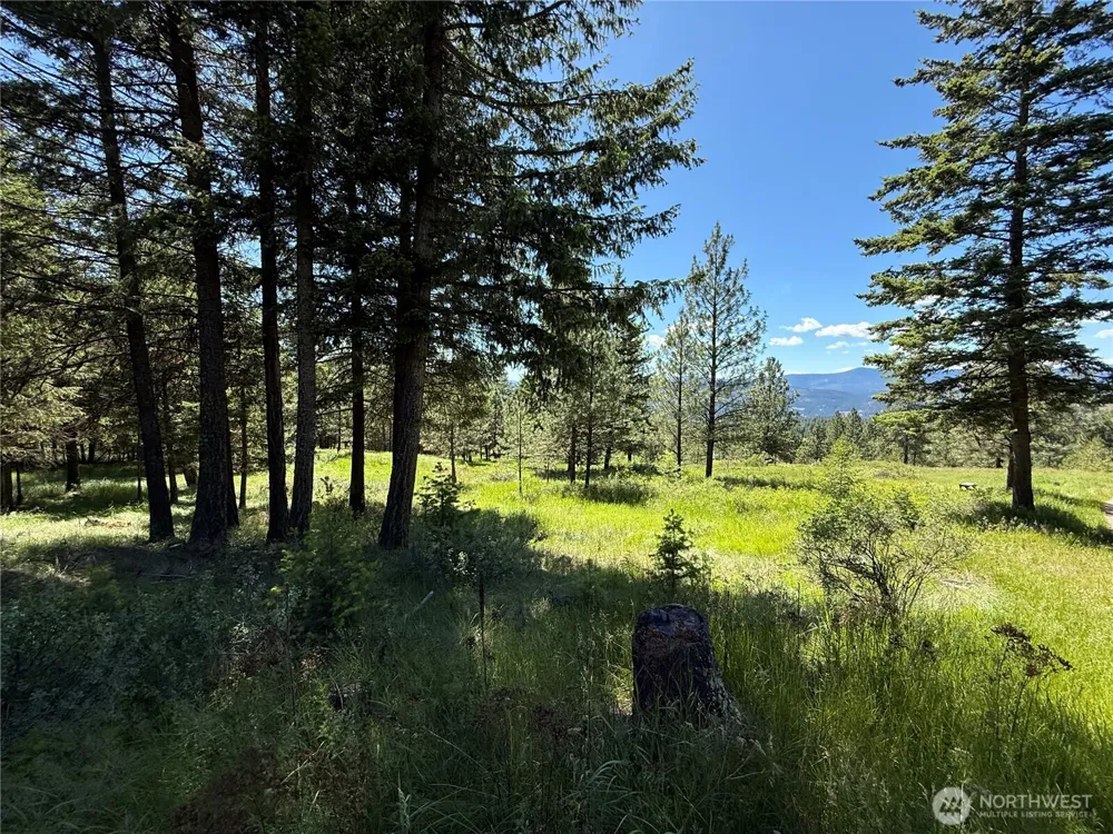 5 Hidden Spring Ranch Road Republic, WA 99166