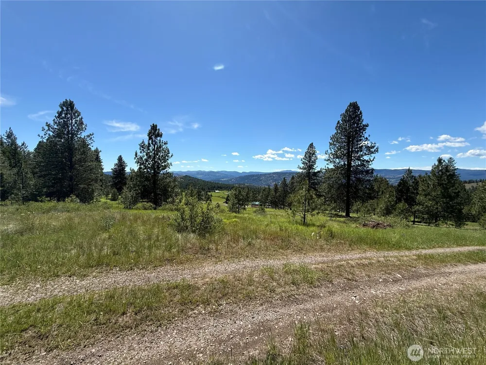 5 Hidden Spring Ranch Road Republic, WA 99166