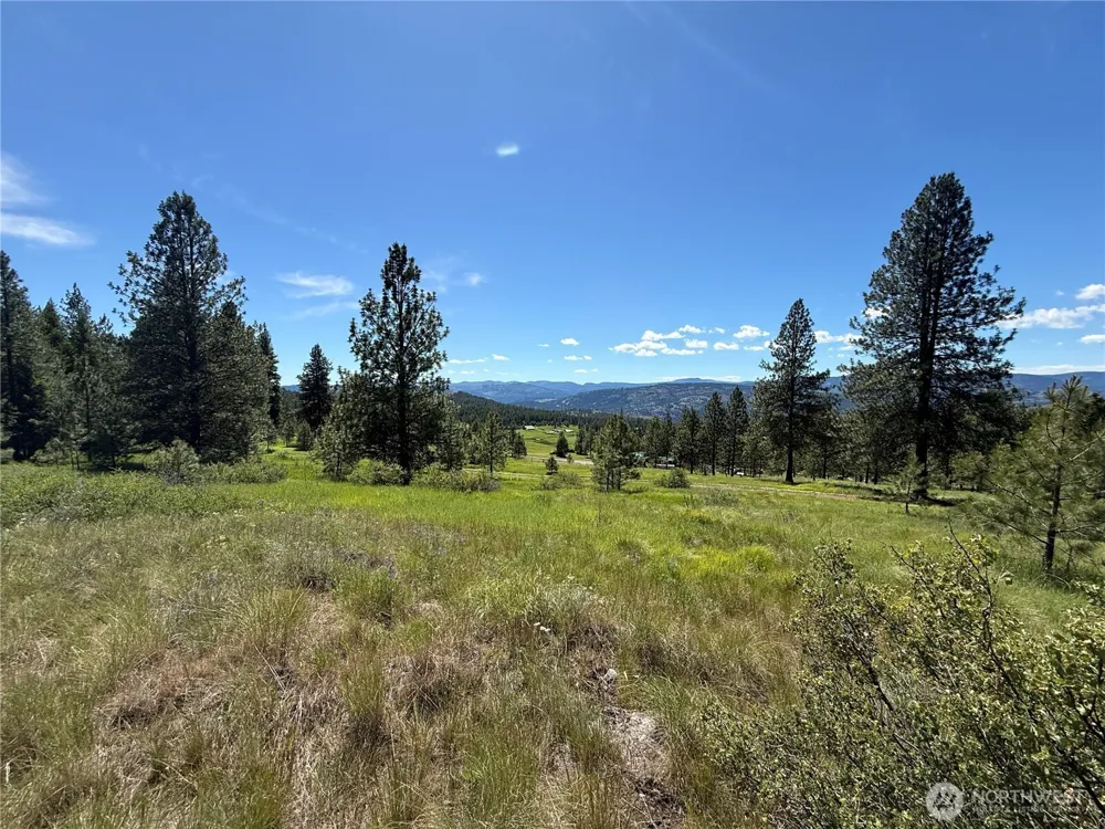 5 Hidden Spring Ranch Road Republic, WA 99166