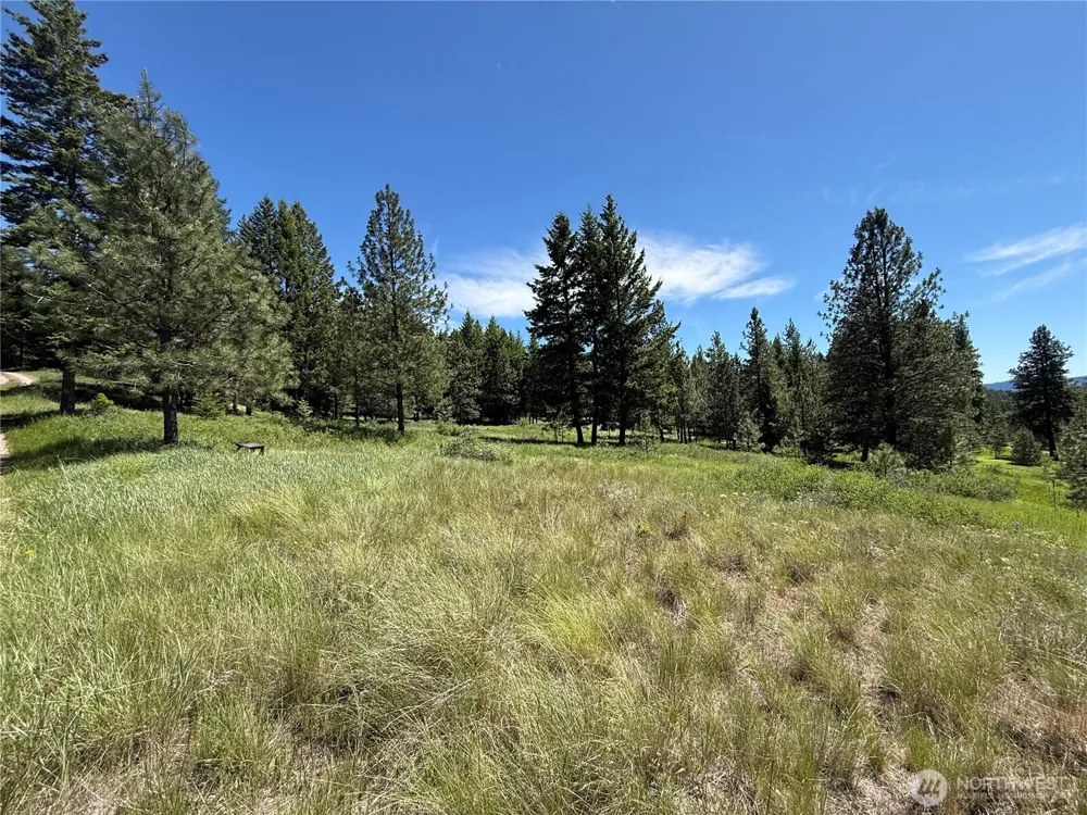 5 Hidden Spring Ranch Road Republic, WA 99166