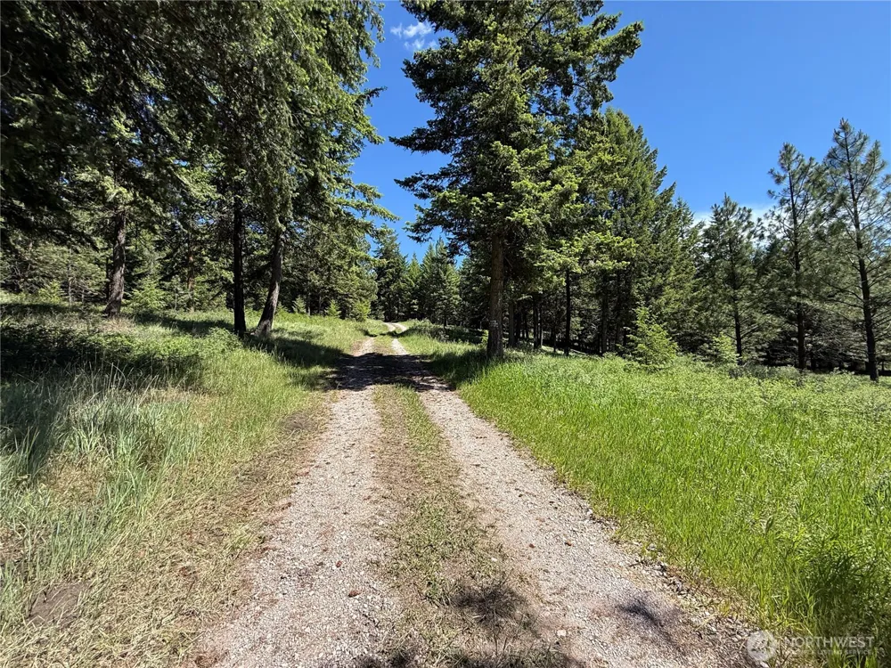 5 Hidden Spring Ranch Road Republic, WA 99166