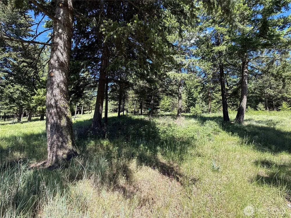 5 Hidden Spring Ranch Road Republic, WA 99166