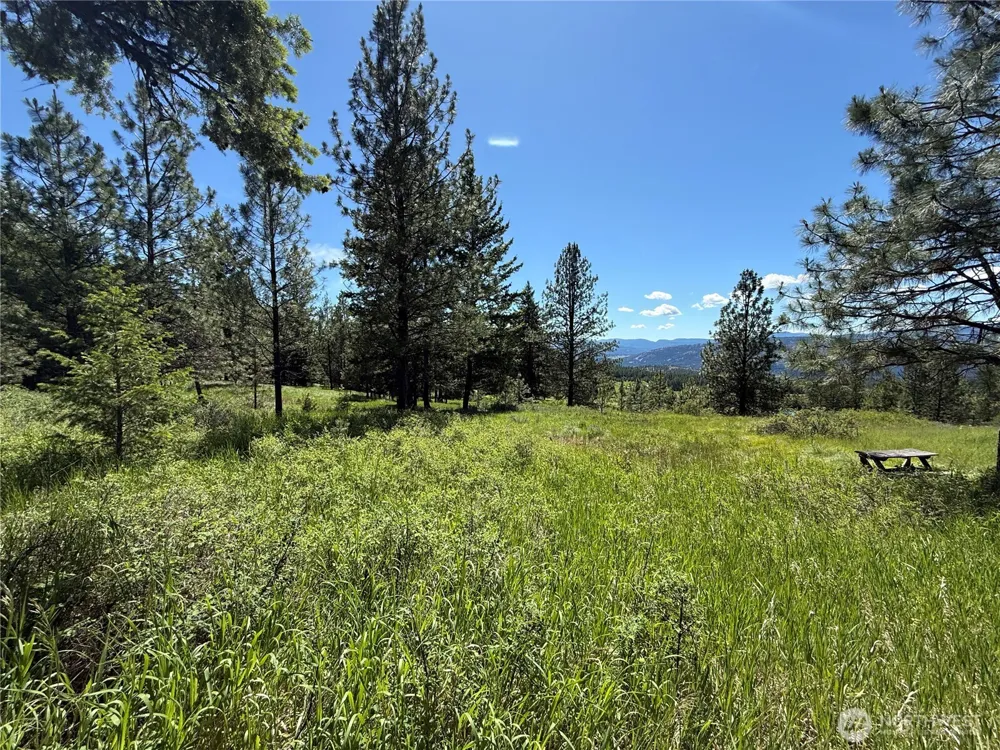 5 Hidden Spring Ranch Road Republic, WA 99166