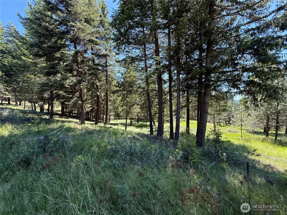 5 Hidden Spring Ranch Road Republic, WA 99166