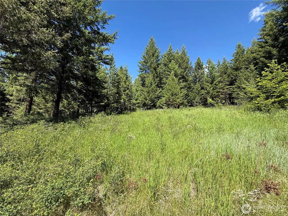 5 Hidden Spring Ranch Road Republic, WA 99166