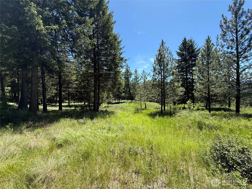 5 Hidden Spring Ranch Road Republic, WA 99166