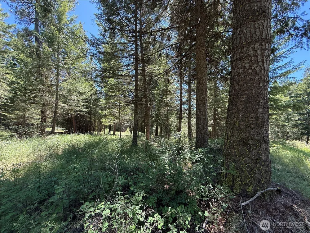 5 Hidden Spring Ranch Road Republic, WA 99166
