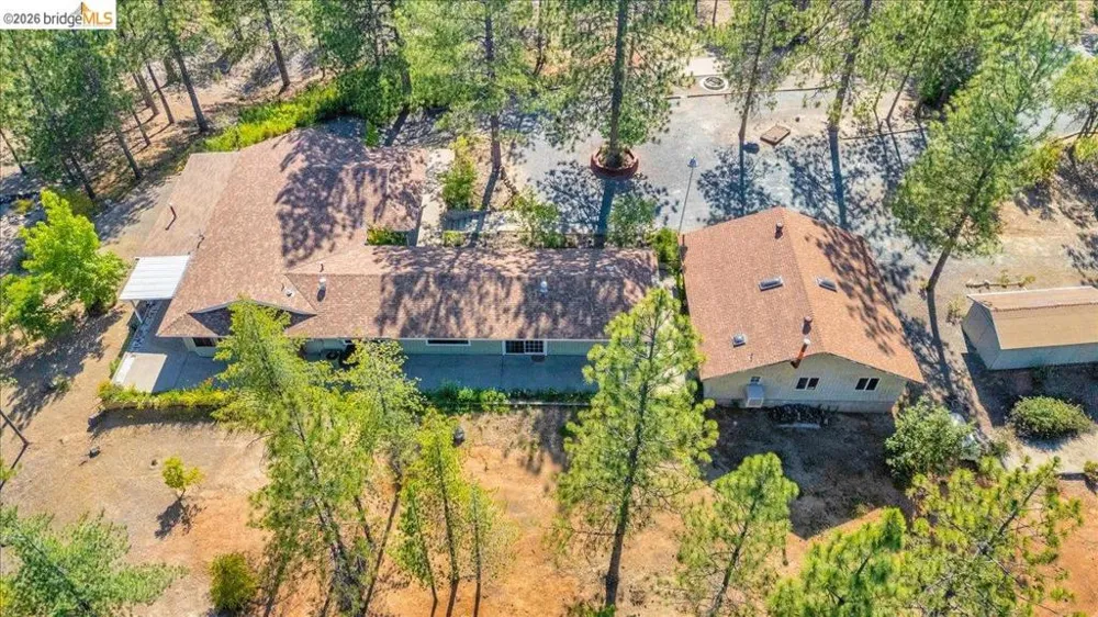 10421 Dexter Ln Coulterville, CA 95311