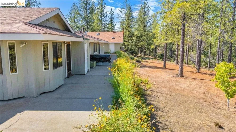 10421 Dexter Ln Coulterville, CA 95311
