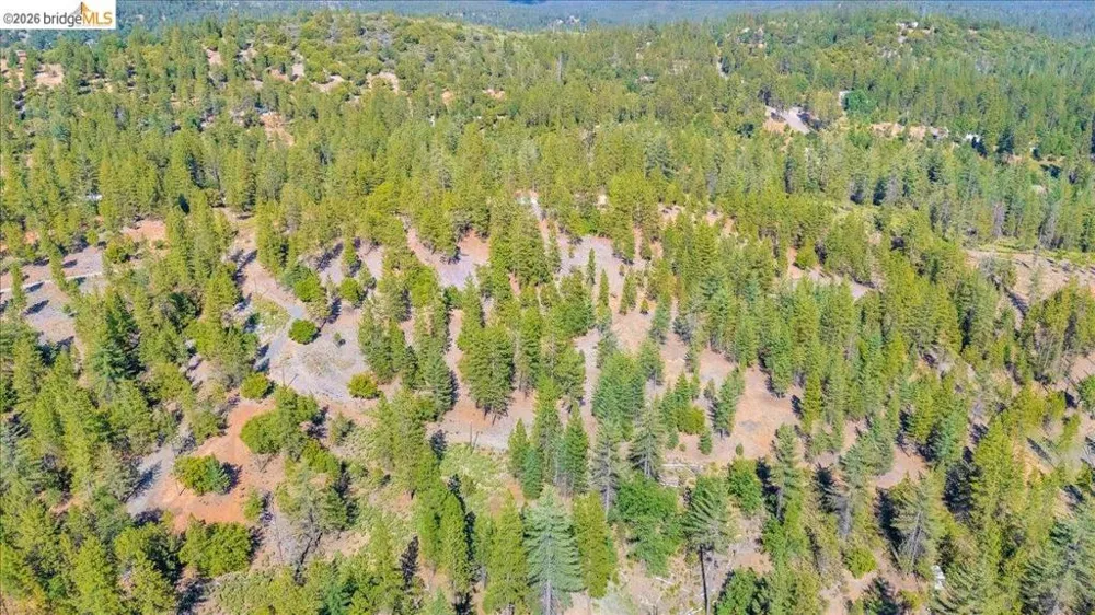 10421 Dexter Ln Coulterville, CA 95311