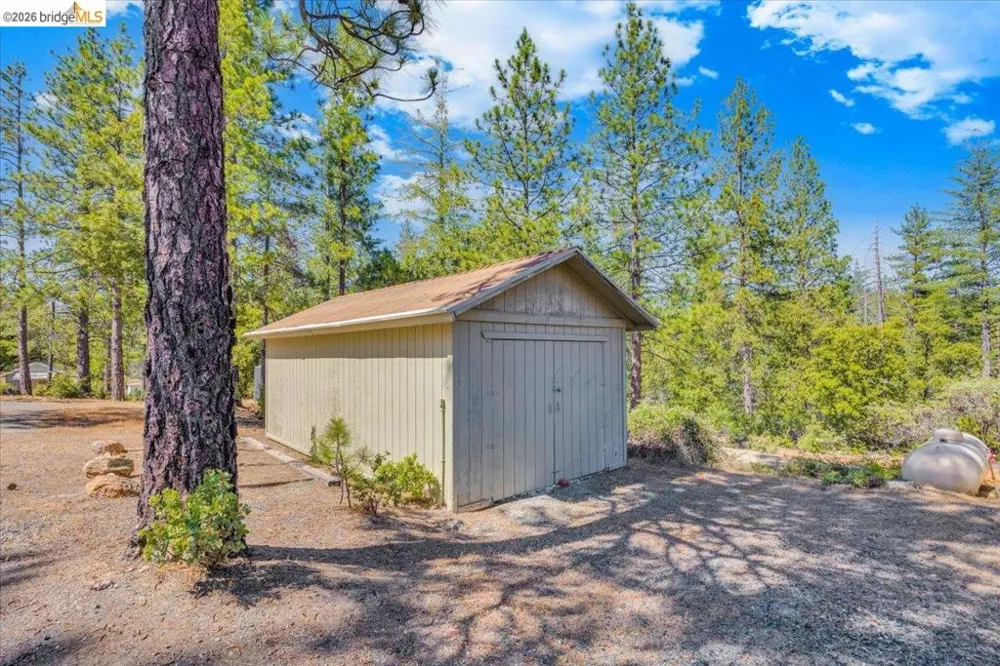 10421 Dexter Ln Coulterville, CA 95311